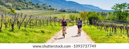 Cyclists on grape mountain.  Biking travel tour in Vineyards Palatinate region, Deutsche Weinstrasse (German Wine Route), Rhineland-Palatinate, Germany. Banner Royalty-Free Stock Photo #1093737749