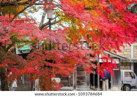 Katsuoji Temple  in Autumn with red maple leaves at Minoh City, Osaka Prefecture, Kinki Region, Japan