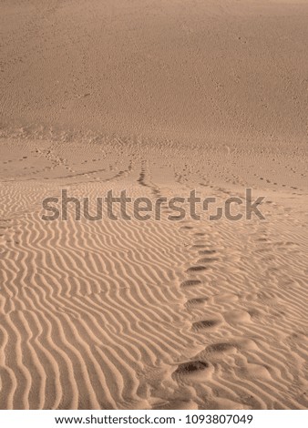 Desert, sand texture, background