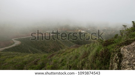 Foggy hills of San Francisco near the Golden Gate.
