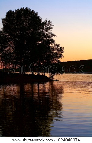A tree on the bank of the Volga. A beautiful evening sunset makes the picture irresistible.