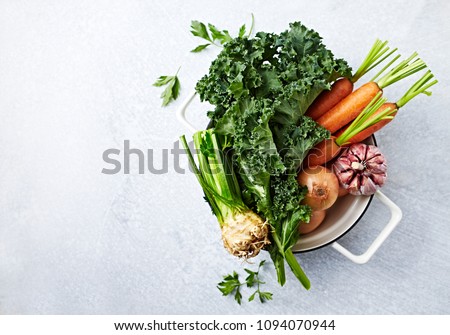 An Arrangement of Fresh Vegetables in a Cooking Pot; kale, carrots, celery, garlic, onion, parsley; symbolic image
