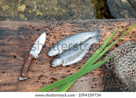 composition trout fish and knife on a wooden background on a lake