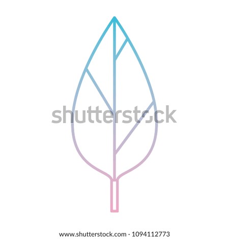 leaf single decorative icon