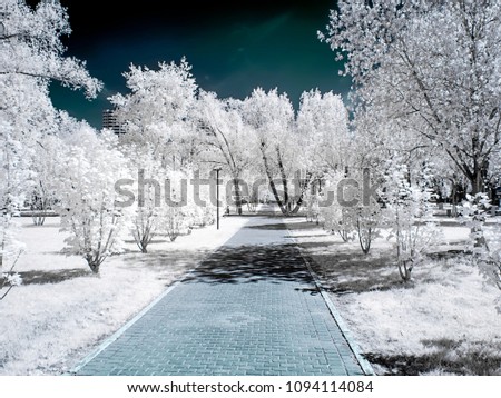 Infrared photography. Park in the city of Reutov. Moscow Oblast