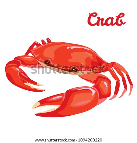 Red crab vector illustration in simple flat style isolated on white background. Seafood product design template.
 Royalty-Free Stock Photo #1094200220