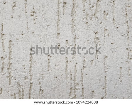 decorative plaster texture , imitation of trunk with trace , sign of bark beetle bug , white background