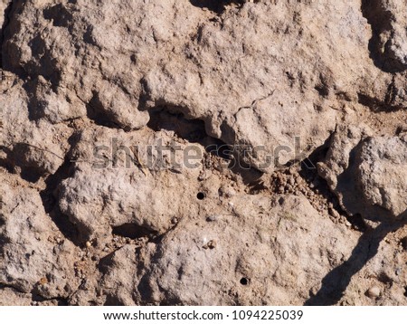 Dry cracking ground texture. Parched brown soil background. Terrain broken earth picture. Desert fracture top view image.