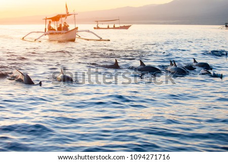 Bali Indonesia free Dolphin boat Watching at Lovina Beach Royalty-Free Stock Photo #1094271716