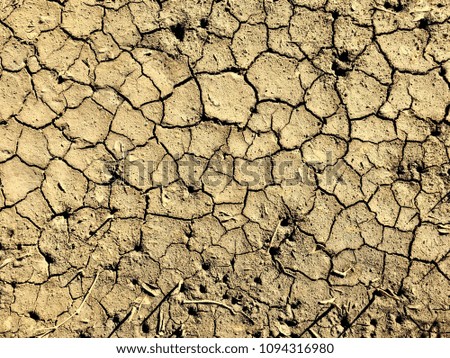 Cracked Dry earth background