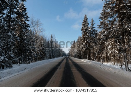 track in winter time in the middle of the forest