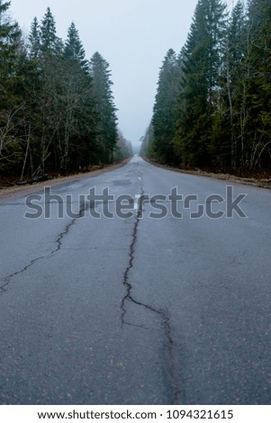 photo of an automobile road in a forest in the spring