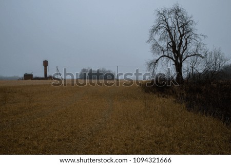 dry field in the spring in the fog