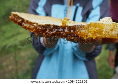 A beekeeper holding a piece of honeycomb dripping with golden honey. Picture taken in Shaanxi Province in China.