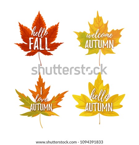Vector illustration, realistic autumn leaves with text.  Autumn greeting cards set.
