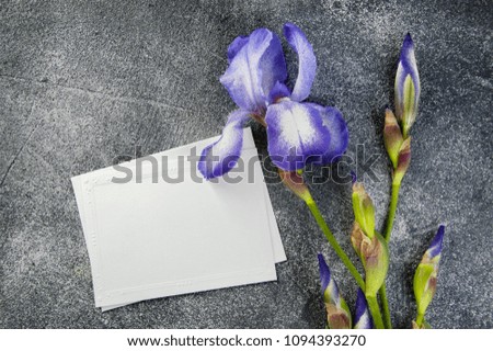 Blank note and violet iris on gray textured background.Top view and copy space for text