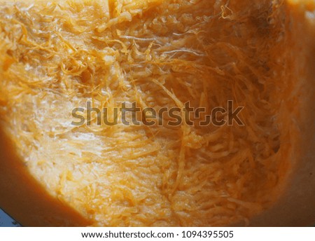 pumpkin (Cucurbita pepo) vegetables vegetarian and vegan food