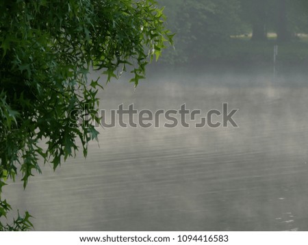 View on foggy lake with green leafs of trees in front. Mysterious view on foggy lake with green leafs in forefront of picture