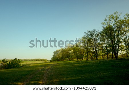 Beautiful endless expanses of steppes of Ukraine under the bright rays of the spring sun