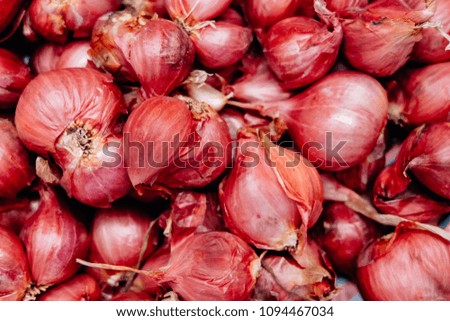 Select focus red garlic. Fresh garlic on market table close up photo. Vitamin healthy food spice image. Spicy cooking ingredient picture. Top view photo of fresh garlic group background.