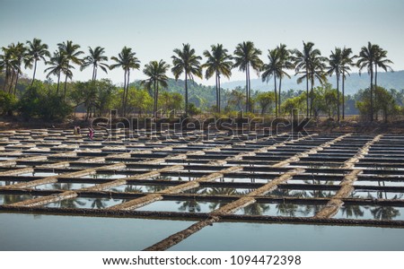 India, Goa, March 14 2017. Production of salt on a farm in India