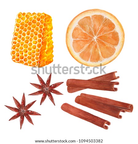 set orange, cinnamon, honey, anise, watercolor illustration  on white background
