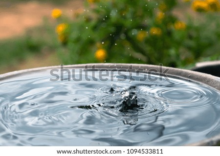 raining dripping on the jar and blur background with copy space