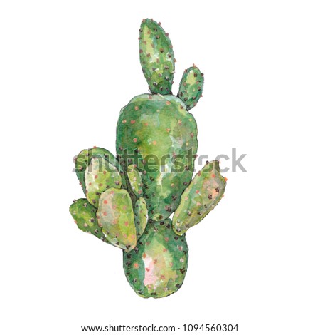 Hand drawn watercolor cactus on white background. Decorative element for design. Perfect for print etc.