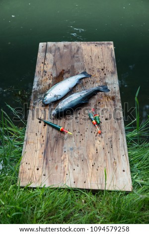 various objects and adaptations for fishing of river fish in the pond and on the river