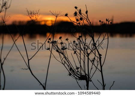 Spring evening landscape with river, reflection of sky, sunset, silhouette of dry grass