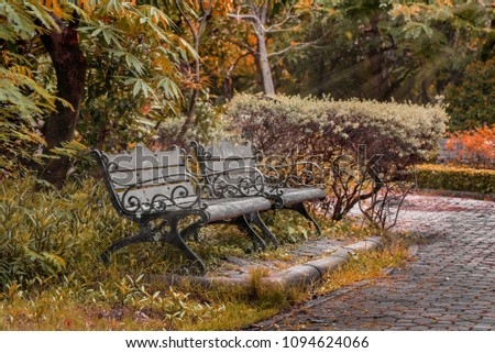 Autumn bench in the park