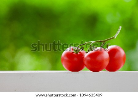 Close-up of fresh, ripe tomatoes on white wood table and green background. Beautiful red ripe heirloom tomatoes. Gardening tomato photograph with copy space. Shallow depth of field


