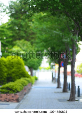 Blurred picture of footpath and greenery.
