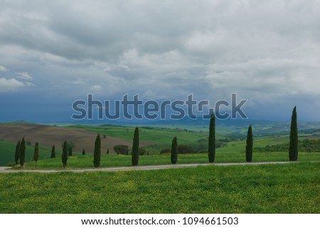 Green landscape with trees and rolling hills