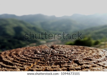 Picture for background. Structure of the wood and Alps at the background 