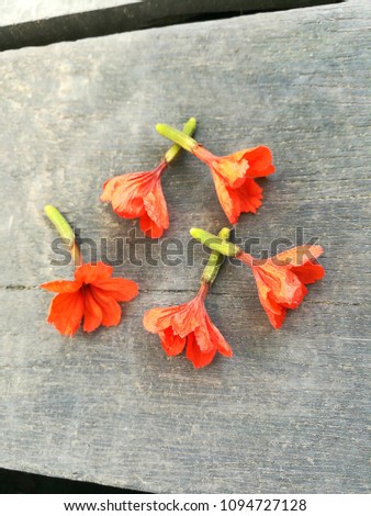 flowers on wooden floor