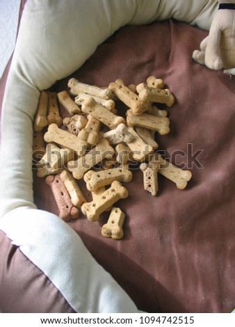 Isolated picture of dog bone hoard suggesting inadequate savings and retirement planning