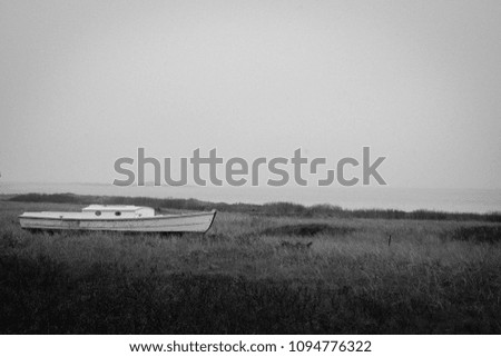 Black and White Small Boat in marsh grass