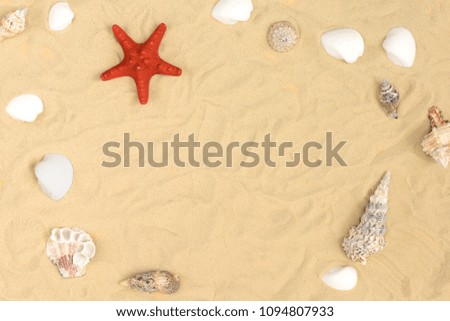 On the sand lie different seashells and a red starfish. In the center there is a free place for text. Beautiful summer layout.