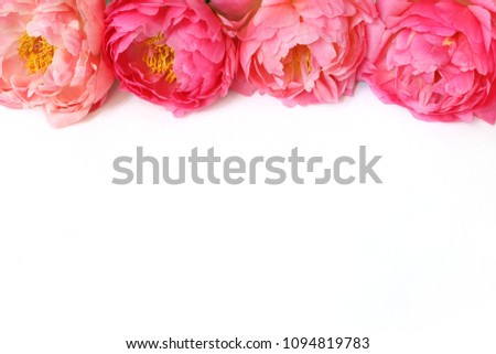 Styled stock photo. Feminine floral frame composition. Decorative web banner made of beautiful pink peonies. White background. Empty space. Flat lay, top view. Picture for blog.