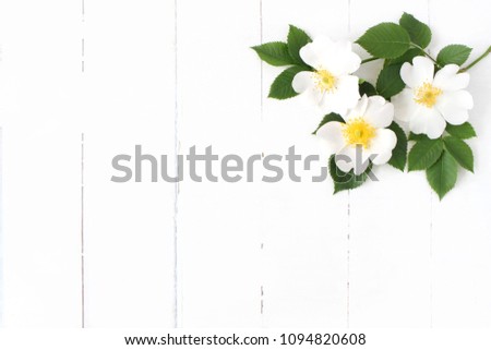 Styled stock photo. Feminine floral table composition with wild rose flowers on old white wooden background. Empty space. Top view. Picture for blog.