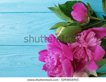 fresh peonies bouquet on a blue wooden background