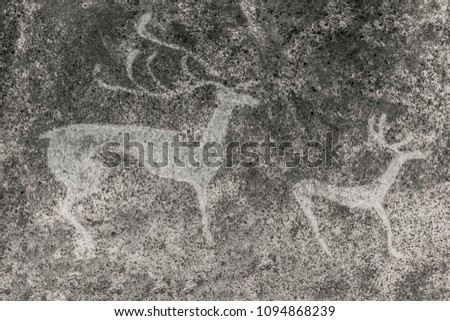 An image of ancient animals on the wall of the cave. archeology. era. ancient art.