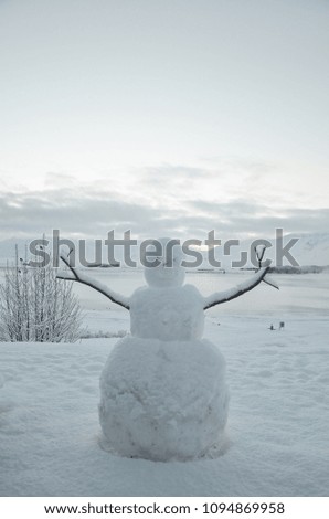 A cheerful snowman with the winter scene of Lake tekapo.