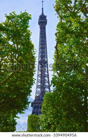 Eiffel Tower with the Trees