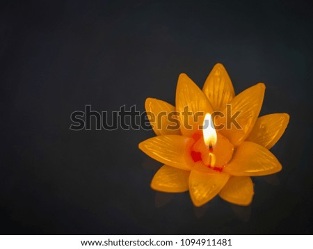 Orange flower floating candles