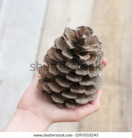 Hand of the child holding the big cone