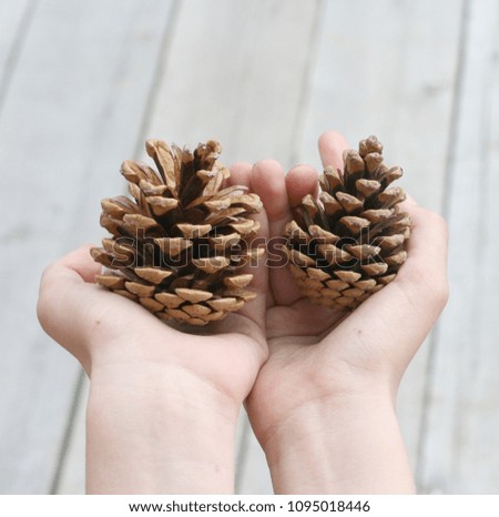 Hands of the child holding the cones