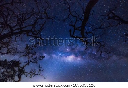 Milky way galaxy with stars and space dust in the universe, Long exposure photograph, with grain