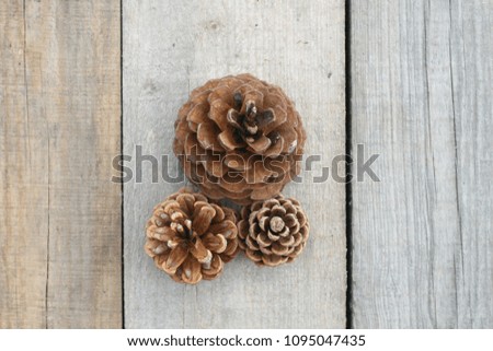 Pine cones of different sizes on the background of gray untreated boards